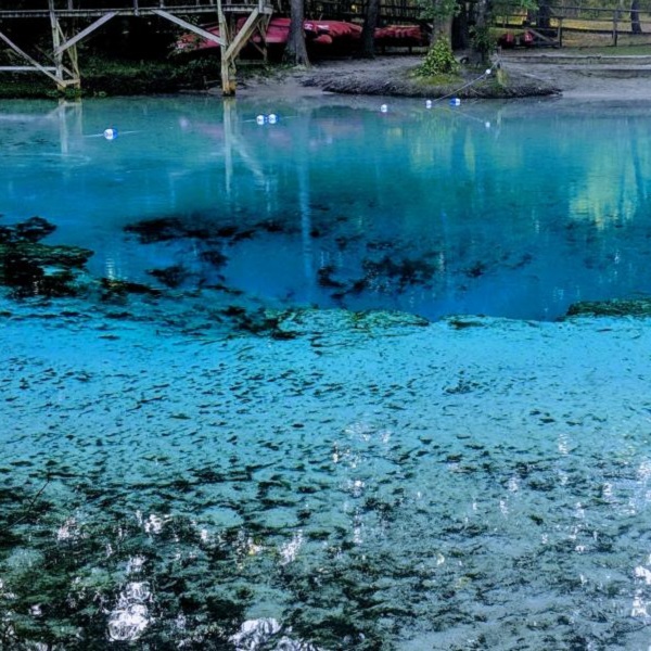 Blue Hole Spring at Florida Caverns State Park is a natural spring near Marianna, Florida. A popular recreation spot, it is a historical landmark.
