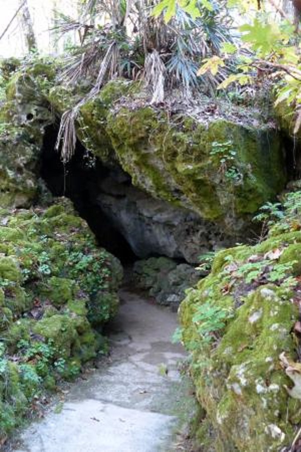 Florida Caverns - Display Image