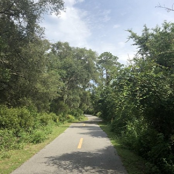 Keep an eye out for wildlife including pileated woodpeckers, ospreys, and gopher tortoises while hiking the trail. 