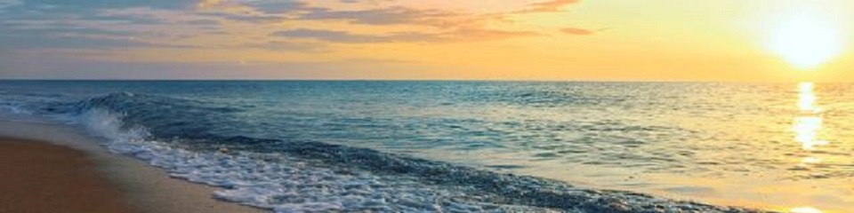 Lewes Chamber of Commerce and Visitor Bureau - Header Image