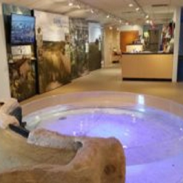 The newly-renovated Seaside Nature Center provides interpretive and hands-on exhibits displaying the coastal habitat of Delaware.
