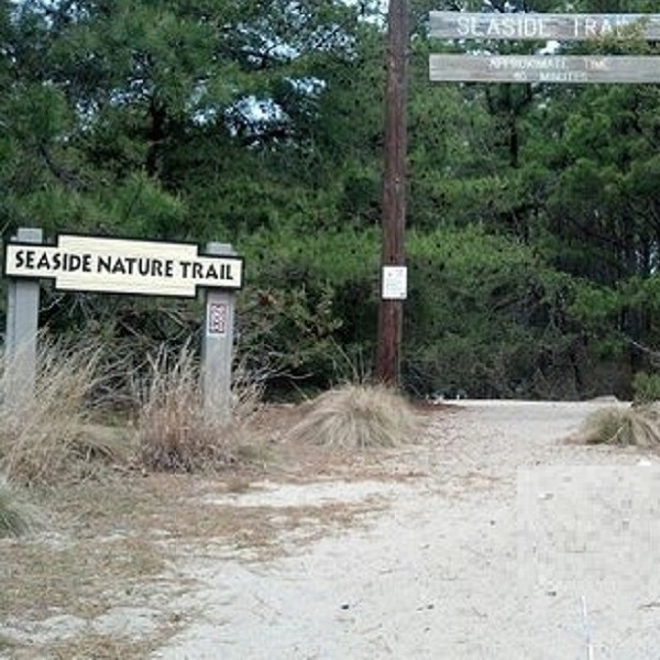A one-mile rustic nature trail leads to the Seaside Visitor Center.
