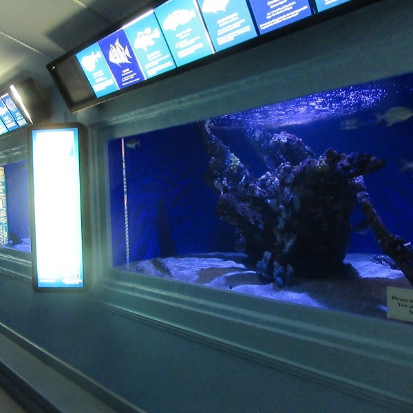 Seaside Nature Center  - Webpage Image