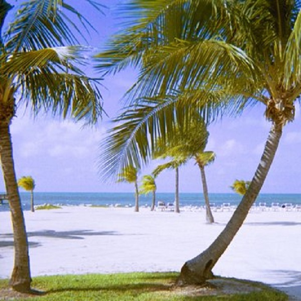 Islamorada Chamber of Commerce - Webpage Image