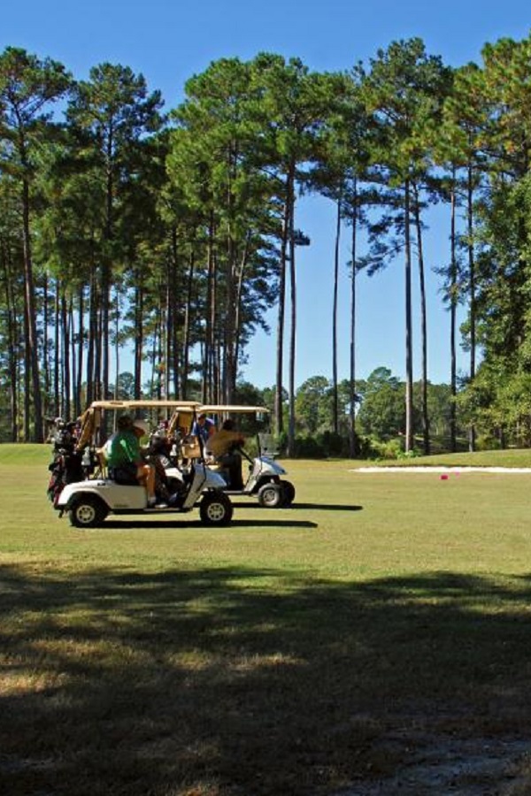 Jack Hill State Park  - Display Image