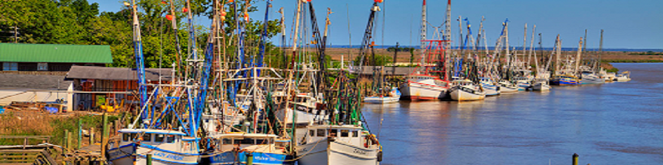 Darien-McIntosh County Visitors' Center - Header Image