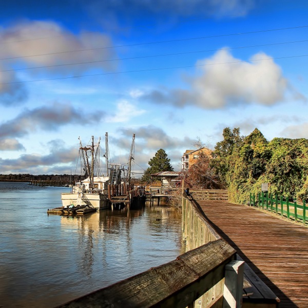 Darien-McIntosh County Visitors' Center - Webpage Image