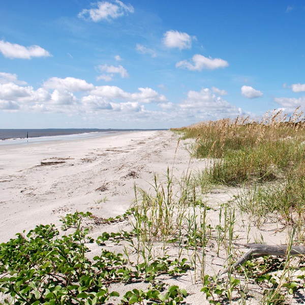 Nanny Goat Beach on peaceful Sapelo Island.