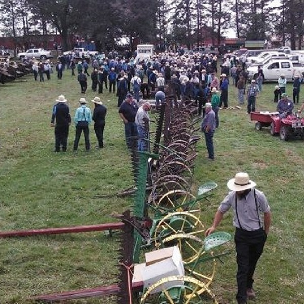 Hazleton is known as “the gateway to Amish Country” and area farm auctions carry equipment of interest to Amish farmers. 