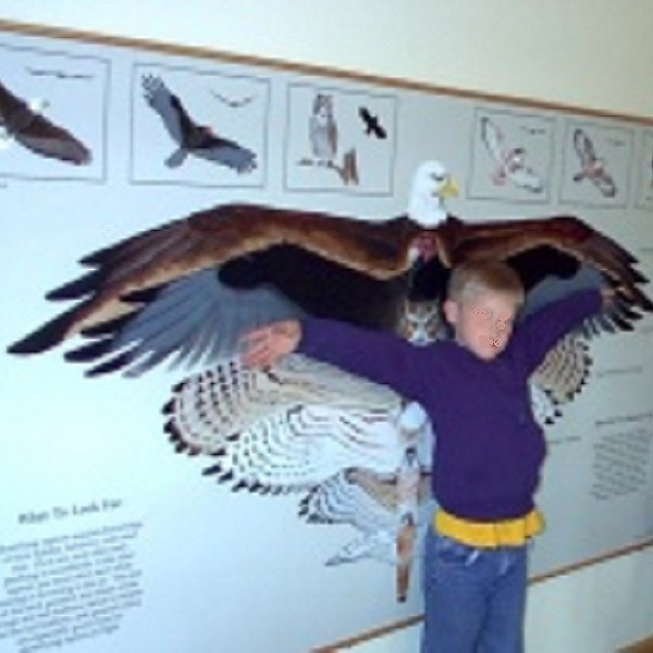 The Fontana Interpretive Nature Center has educational programs for youth.