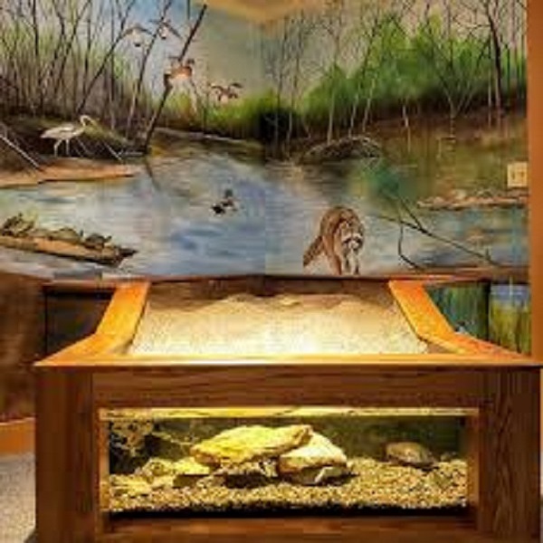 Fontana Interpretive Nature Center  - Webpage Image