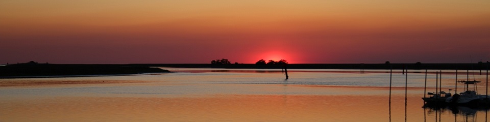 Steinhatchee Chamber of Commerce  - Header Image