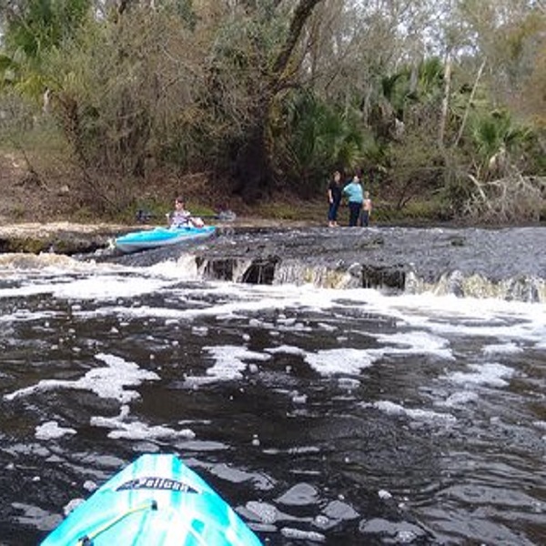 Steinhatchee Falls makes a great kayak destination. 