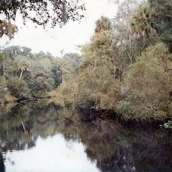 Steinhatchee River travels through the Steinhatchee Springs Wildlife Management Area, a kayaker’s paradise. 