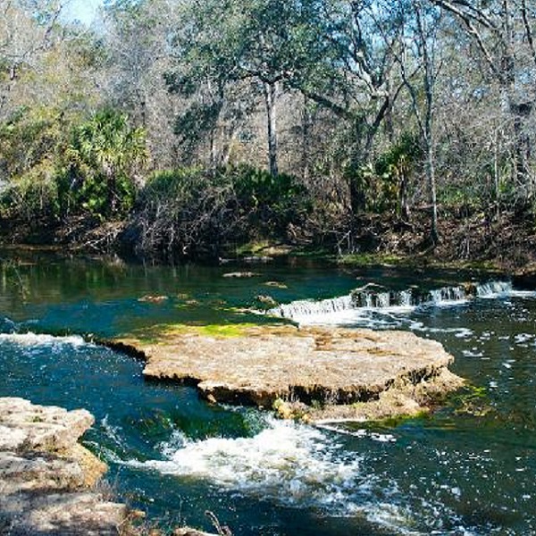 Suggested destination image for Steinhatchee Falls 