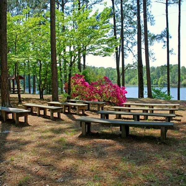 Jack Hill State Park offers a lakeside picnicking area with four picnic shelters. 