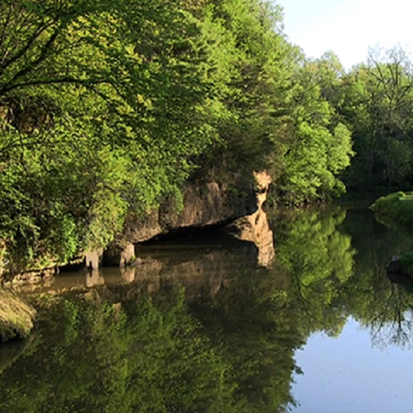 White Pines Forest State Park - Webpage Image
