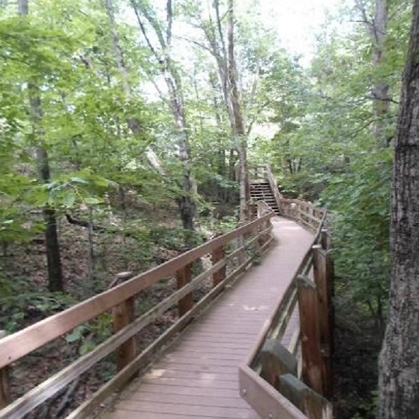 Boardwalk trail through the area helps to protect a precious dunes habitat. 