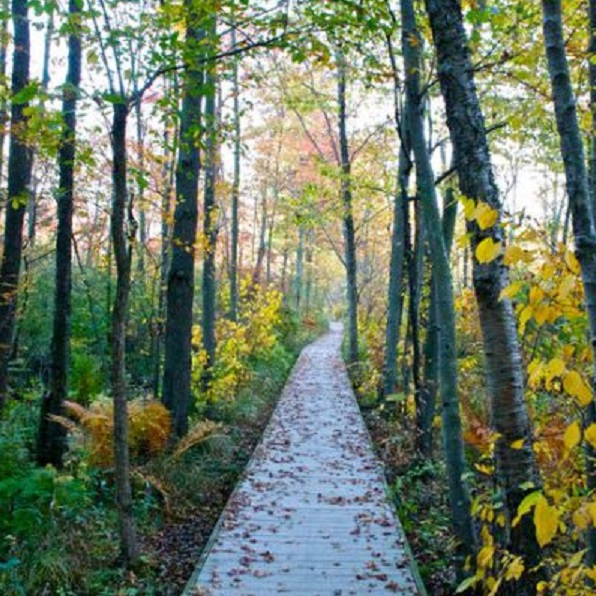 Looking for a great trail in Indiana Dunes National Park, Indiana? There are dozens of great hiking trails that are kid-friendly trails and accessible to all. 