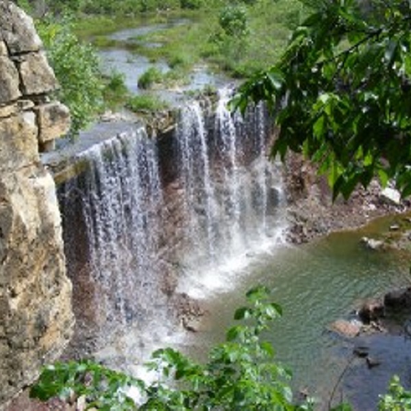 Cowley Falls has been listed as one of the best waterfalls in the country. 