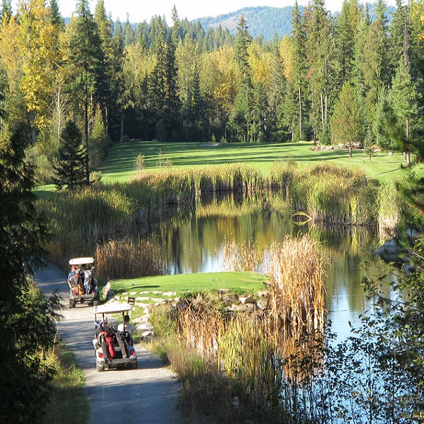 Priest Lake Golf Course is set amidst the splendor of natural ponds, wetlands and lush forest. 