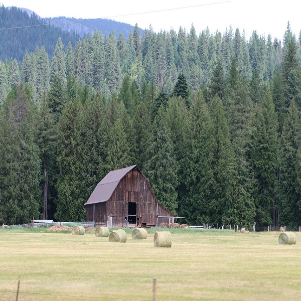 The byway passes historic reminders of a longtime timber and farming economy. 