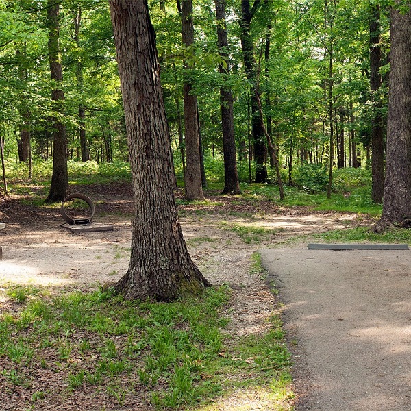There are 111 campsites including select sites for RVs up to 38 feet, and trailers up to 26 feet that can be accommodated. 