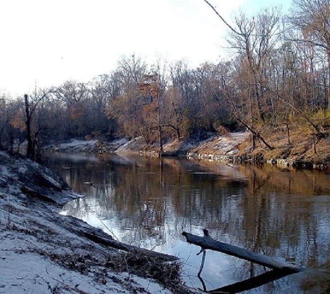 The Honey Island Swamp is a wildlife refuge that is one of the least explored swamps in America.