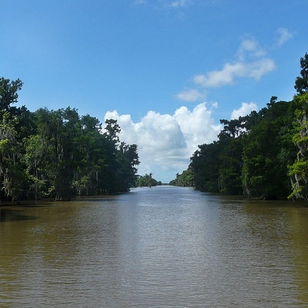 The Pearl River Bayou runs through Louisiana’s Northshore into Lake Pontchartrain.