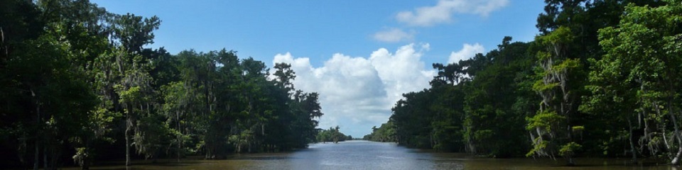 St. Tammany Parish Tourist and Convention Commission  - Header Image
