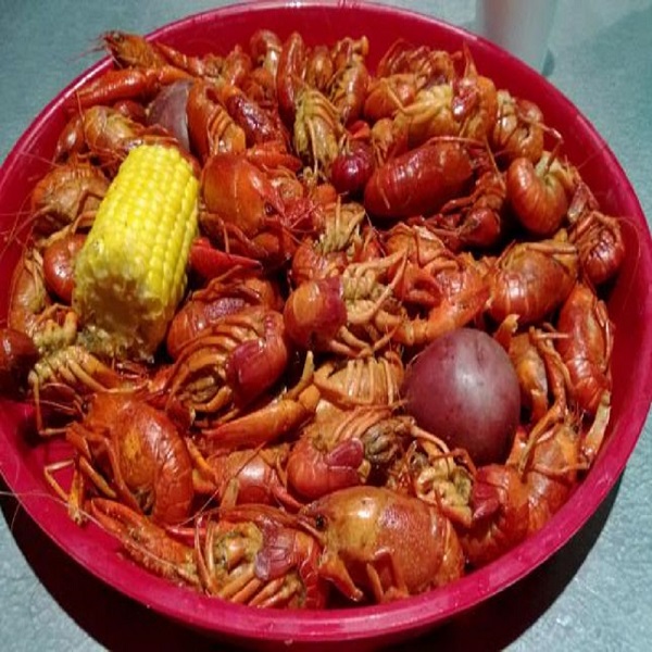 St. Tammany Parish Tourist and Convention Commission  - Webpage Image
