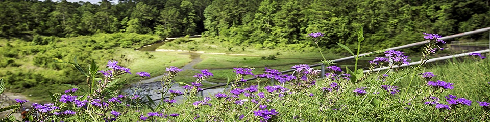 Vernon Parish Tourism Commission  - Header Image