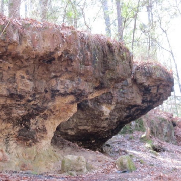 Deposited sediments created Wolf Rock Cave 24-30 million years ago. 