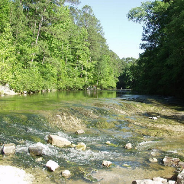 The cave is located in a very remote part of Kisatchie National Forest. 
