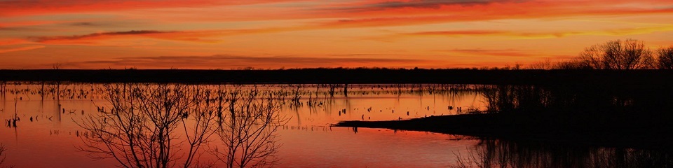 Experience El Dorado  - Header Image