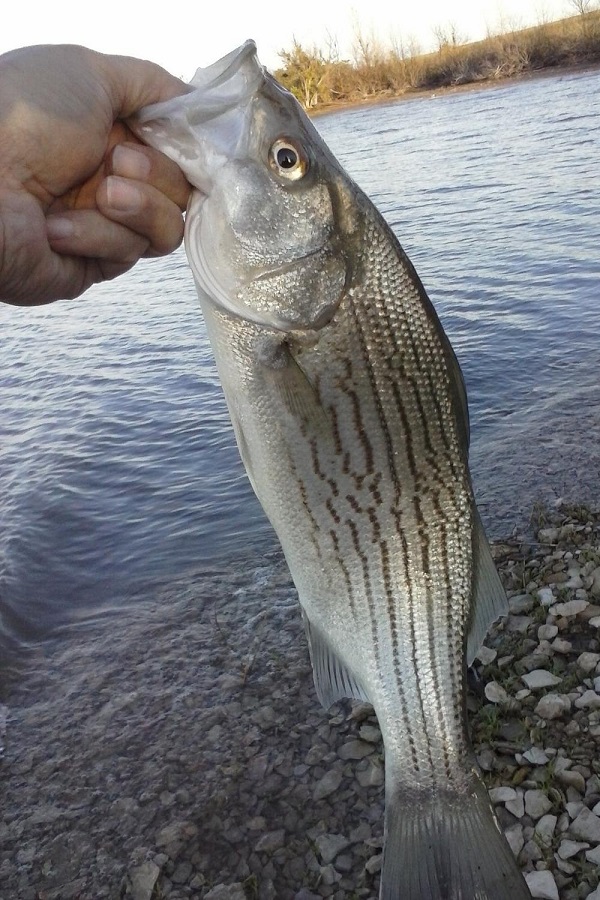 El Dorado State Park - Display Image