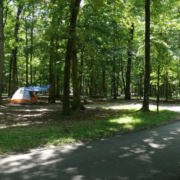 Mammoth Cave Campground is an easy walk to the park’s visitor center. 
