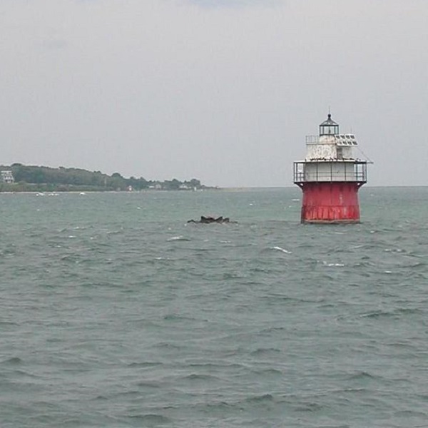 Another local lighthouse at the entrance to Plymouth Harbor is the Duxbury Pier Light.