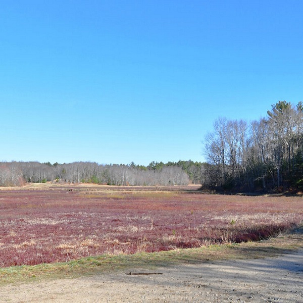 The trails are accessible year-round, except when the cranberry bogs are being harvested. 