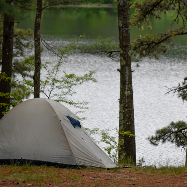 Many campsites are located near the lake.