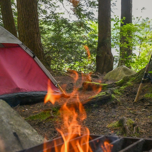 Wells State Park - Webpage Image