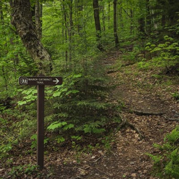 The trail to March Cataract Falls is a wooded, moderate trail. 