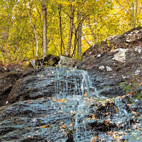 Although it is considered a year-round falls, March Cataract Falls can become a trickle during the late summer and early fall. 