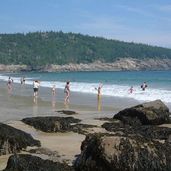 The park offers access to a beautiful sandy beach, where visitors can swim, sunbathe, and explore the shoreline.
