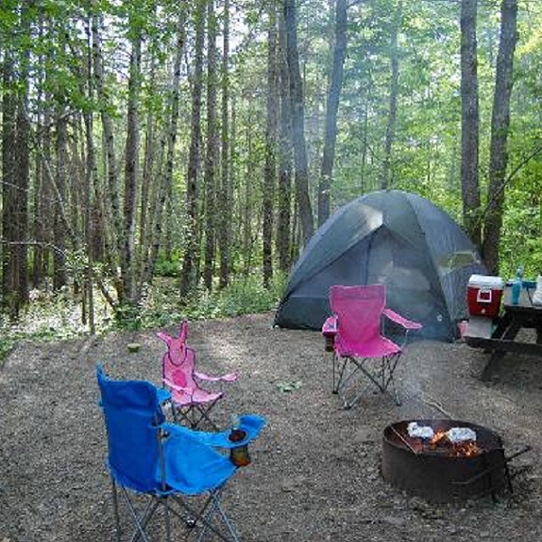 Campers can enjoy the serene ambiance of the park while being surrounded by towering trees and ocean views.