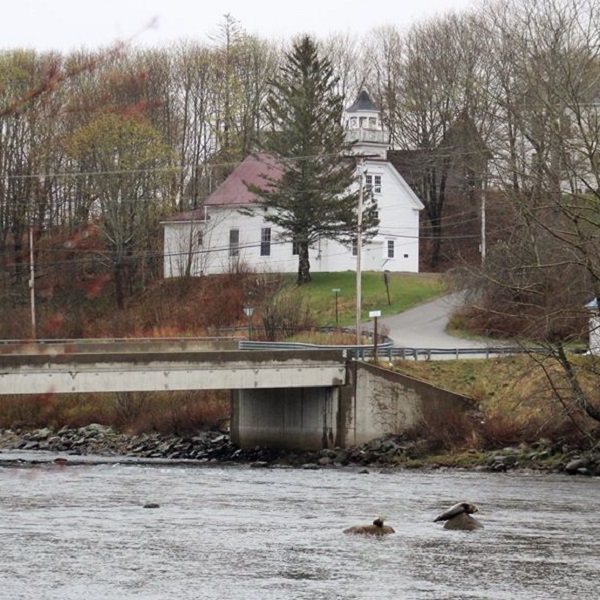 The delta of the Machias River offers an occasional view of seals.
