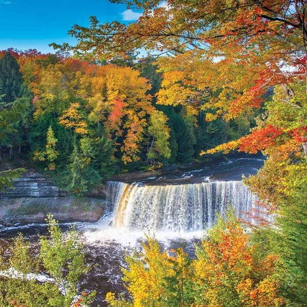 Tahquamenon Falls - Webpage Image