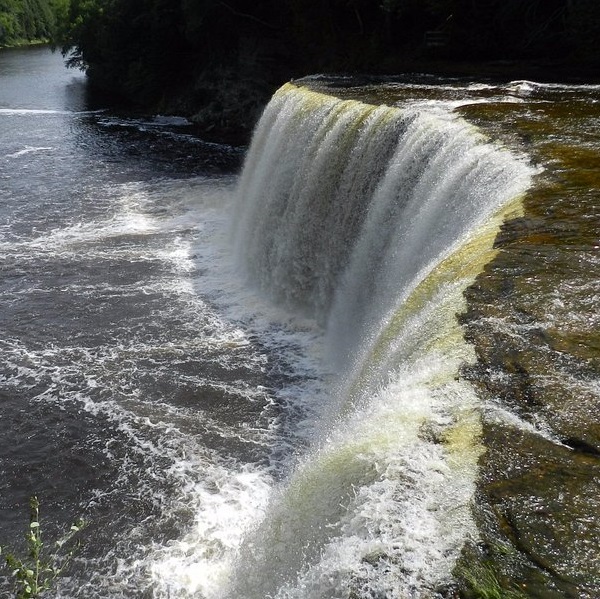 Tahquamenon Falls is known as Root Beer Falls by the locals for its brown color followed by its frothie look.