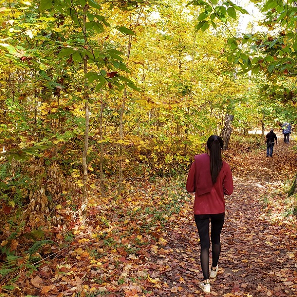 Fall foliage provides a beautiful walk on the Tahquamenon Falls State Park trails. 