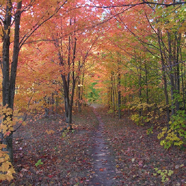 The park surrounding the Environmental Discovery Center at Indian Springs Metropark offers over 2,200 acres of hiking, biking and horse trails, accessible in all seasons.